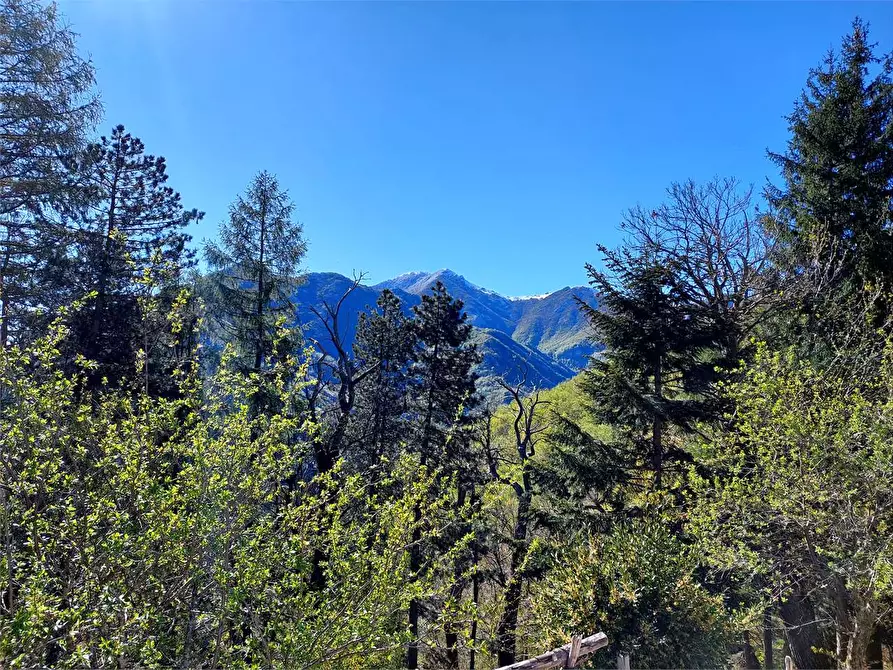 Immagine 28 di Rustico / casale in vendita  in Frazione Piambernardo a Garessio