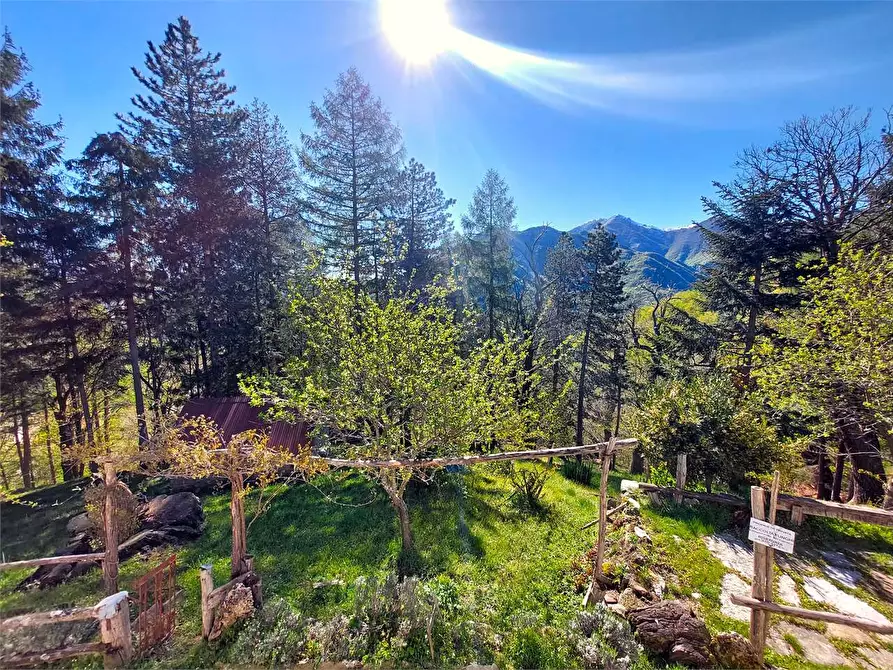 Immagine 29 di Rustico / casale in vendita  in Frazione Piambernardo a Garessio