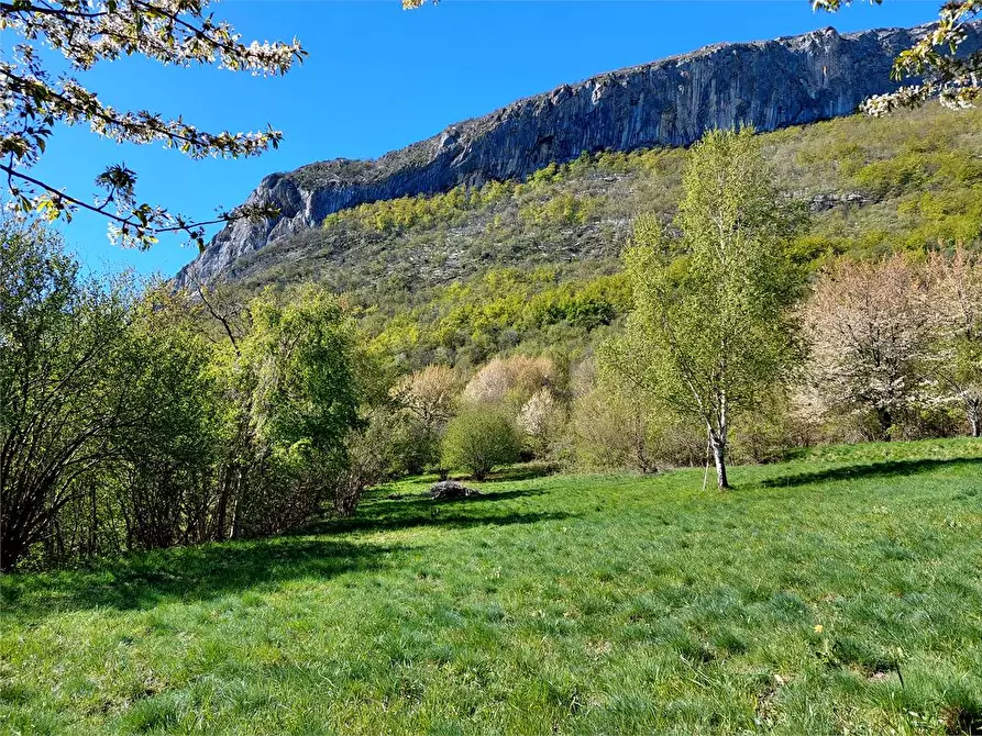 Immagine 45 di Rustico / casale in vendita  in Frazione Piambernardo a Garessio