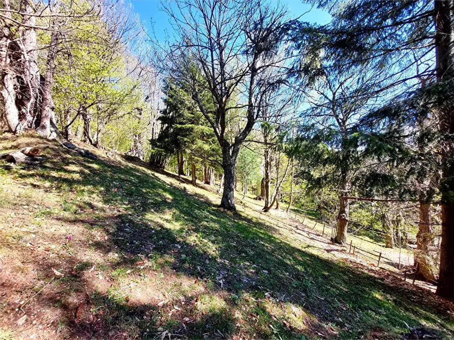 Immagine 46 di Rustico / casale in vendita  in Frazione Piambernardo a Garessio