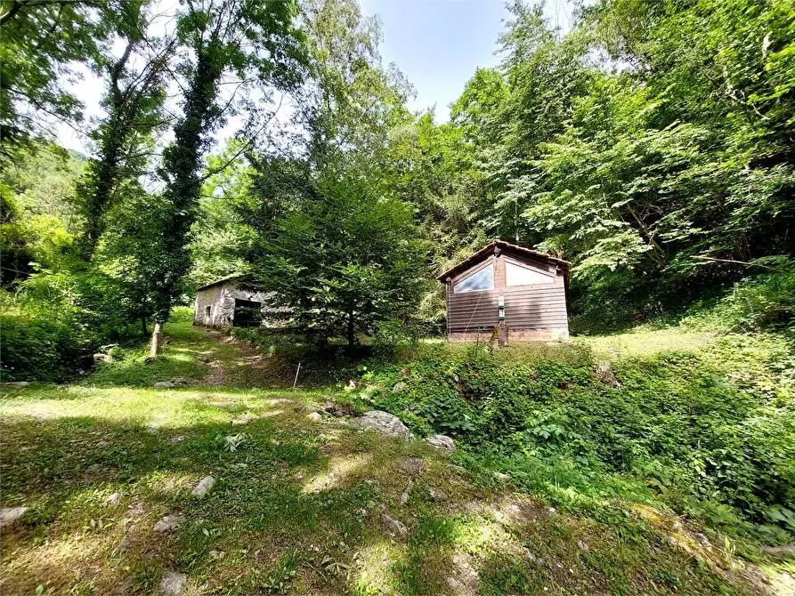 Immagine 5 di Rustico / casale in vendita  in Frazione Le Volte a Garessio