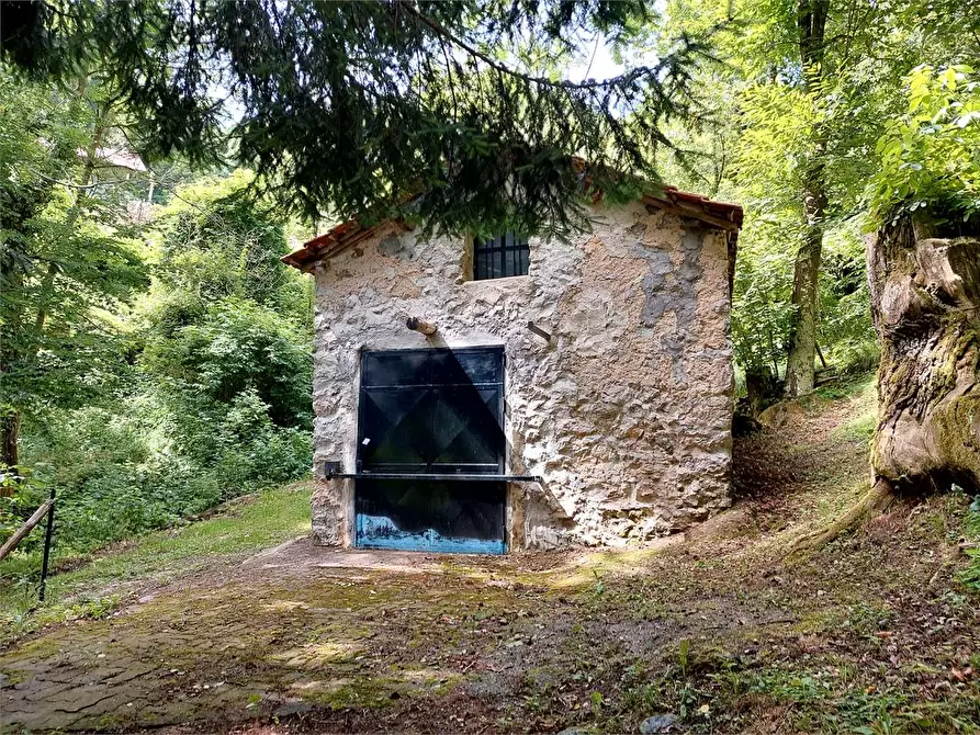 Immagine 11 di Rustico / casale in vendita  in Frazione Le Volte a Garessio