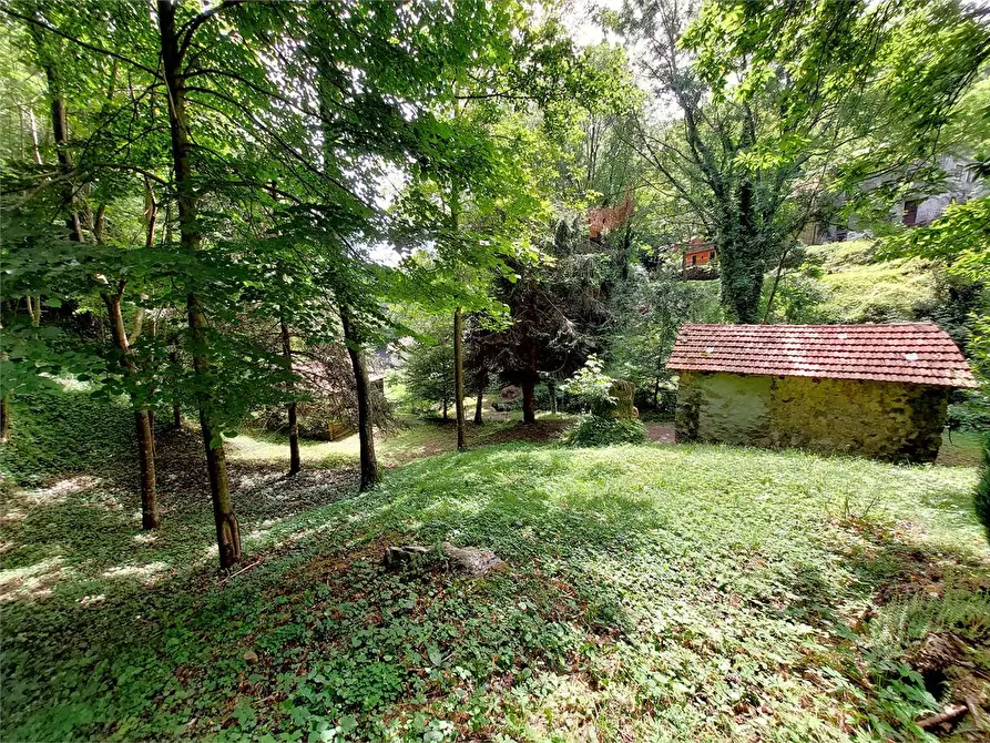 Immagine 12 di Rustico / casale in vendita  in Frazione Le Volte a Garessio