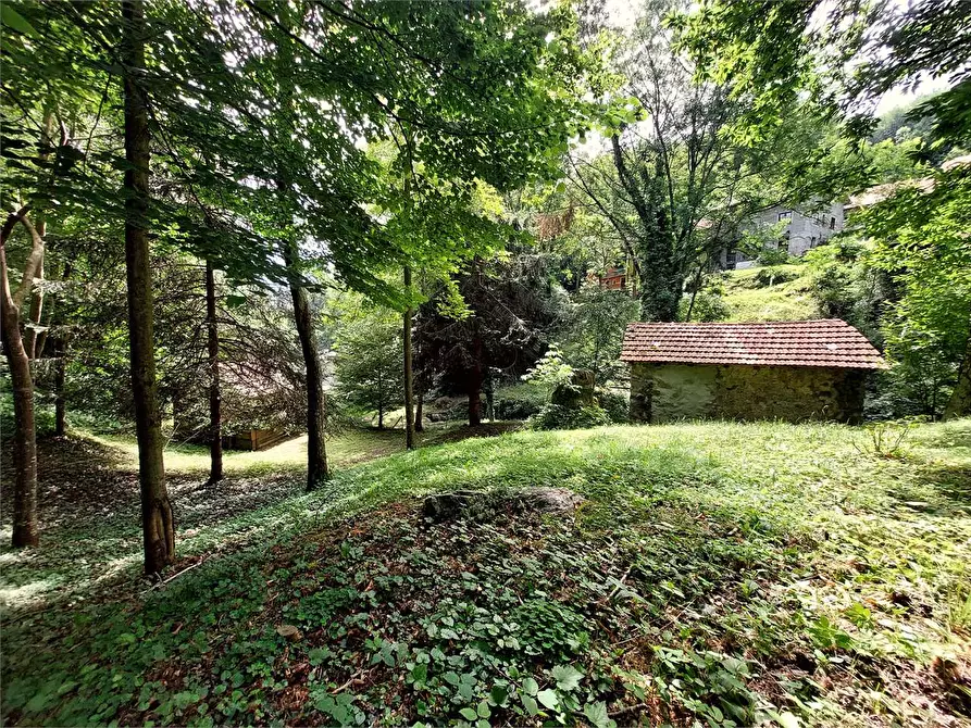 Immagine 13 di Rustico / casale in vendita  in Frazione Le Volte a Garessio