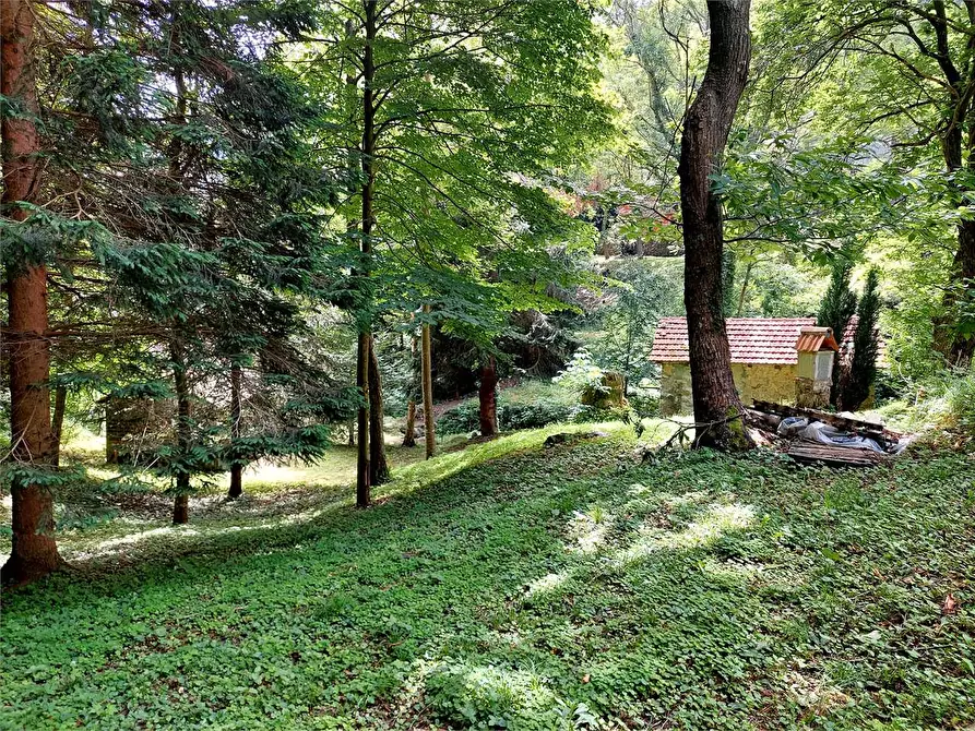 Immagine 5 di Rustico / casale in vendita  in Frazione Le Volte a Garessio