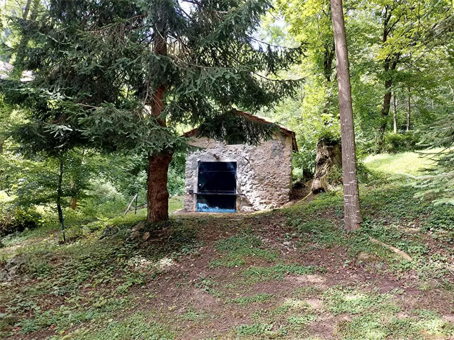 Immagine 17 di Rustico / casale in vendita  in Frazione Le Volte a Garessio
