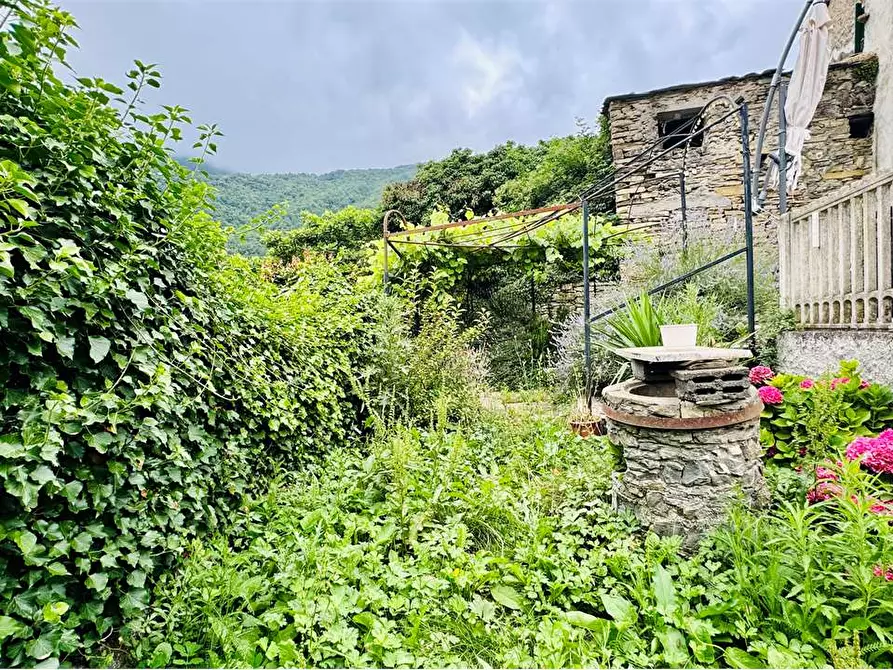 Immagine 1 di Casa indipendente in vendita  in Via Poggio 29 a Rezzo