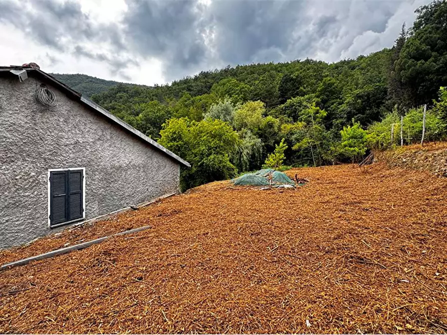 Immagine 25 di Casa indipendente in vendita  in Via San Bartolomeo  15 a Armo