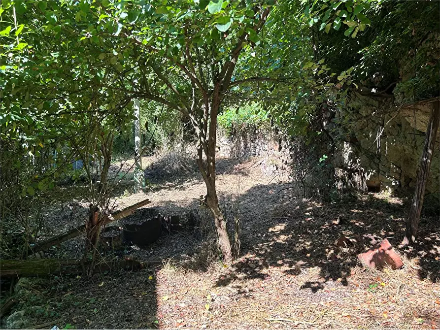Immagine 16 di Casa indipendente in vendita  in Frazione Cantarana  a Ormea