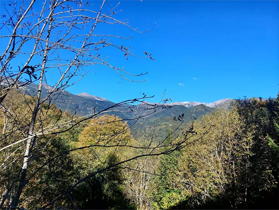 Immagine 12 di Casa indipendente in vendita  in Località San Bernardo  a Mendatica