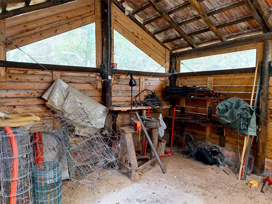 Immagine 8 di Rustico / casale in vendita  in Frazione Le Volte a Garessio