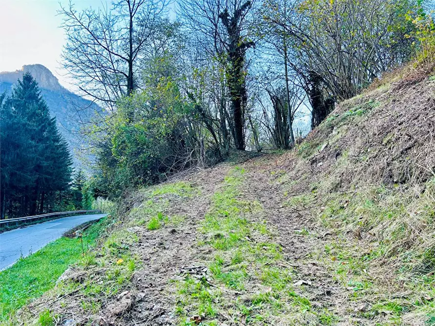 Immagine 14 di Rustico / casale in vendita  in Regione Crose a Garessio