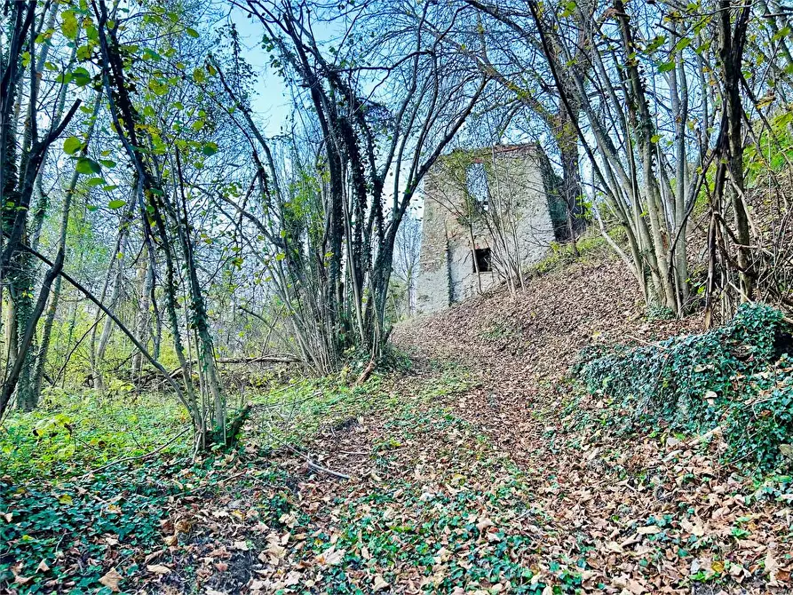 Immagine 9 di Rustico / casale in vendita  in Regione Crose a Garessio