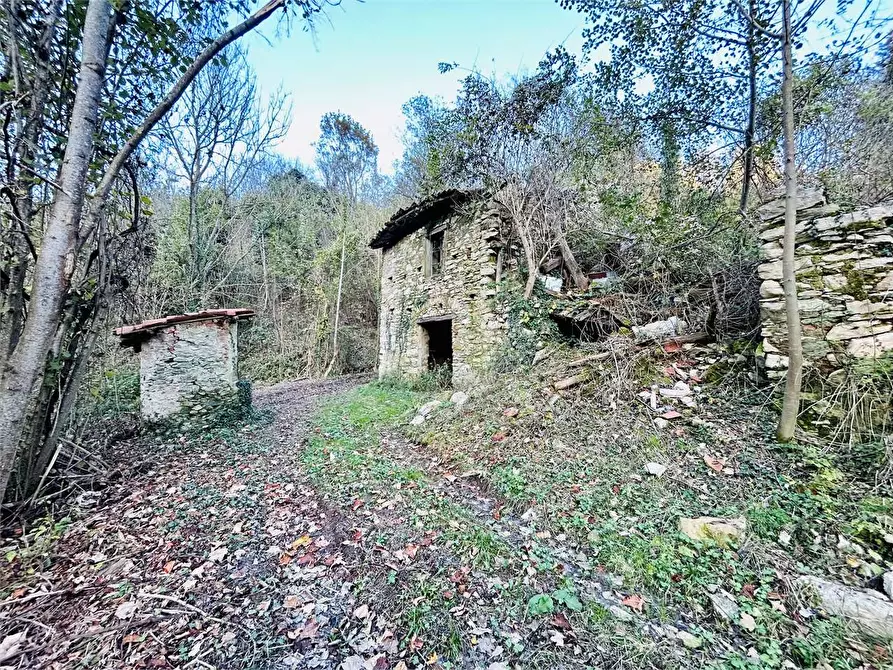 Immagine 3 di Rustico / casale in vendita  in Regione Crose a Garessio
