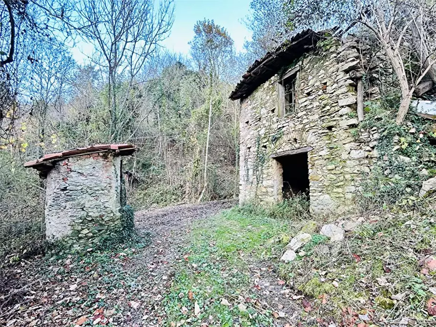 Immagine 1 di Rustico / casale in vendita  in Regione Crose a Garessio