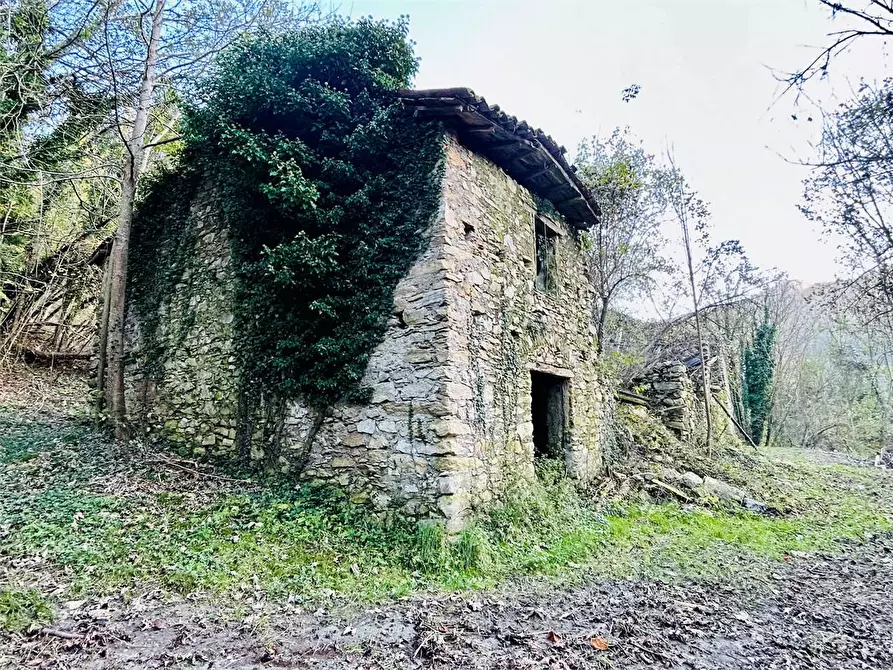 Immagine 4 di Rustico / casale in vendita  in Regione Crose a Garessio