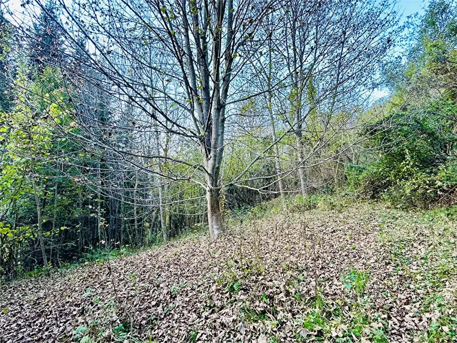 Immagine 12 di Rustico / casale in vendita  in Regione Crose a Garessio