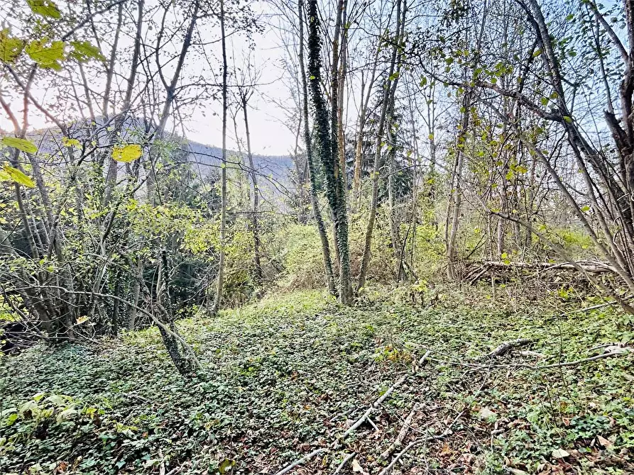 Immagine 13 di Rustico / casale in vendita  in Regione Crose a Garessio