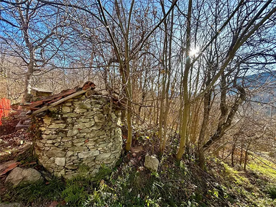 Immagine 22 di Rustico / casale in vendita  in Regione Sarezzo a Garessio