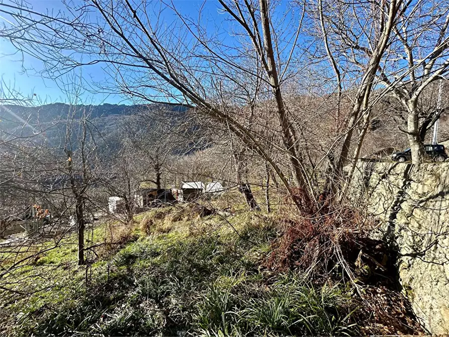 Immagine 23 di Rustico / casale in vendita  in Regione Sarezzo a Garessio