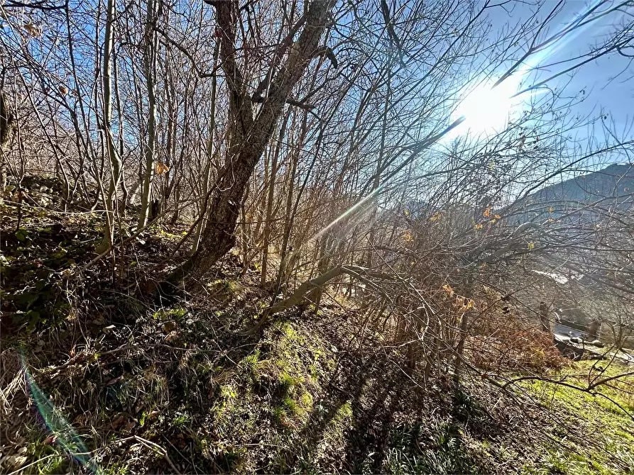 Immagine 24 di Rustico / casale in vendita  in Regione Sarezzo a Garessio