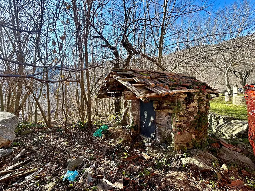 Immagine 21 di Rustico / casale in vendita  in Regione Sarezzo a Garessio