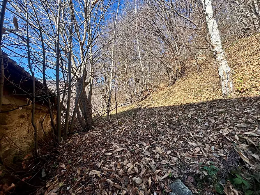 Immagine 20 di Rustico / casale in vendita  in Regione Sarezzo a Garessio