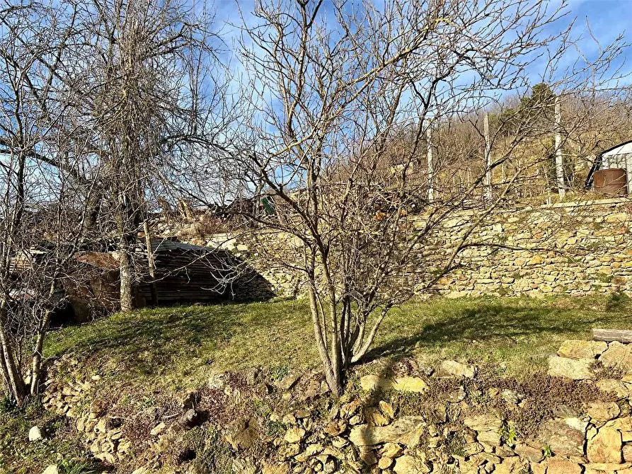 Immagine 32 di Casa indipendente in vendita  in Frazione Casario  34 a Priola