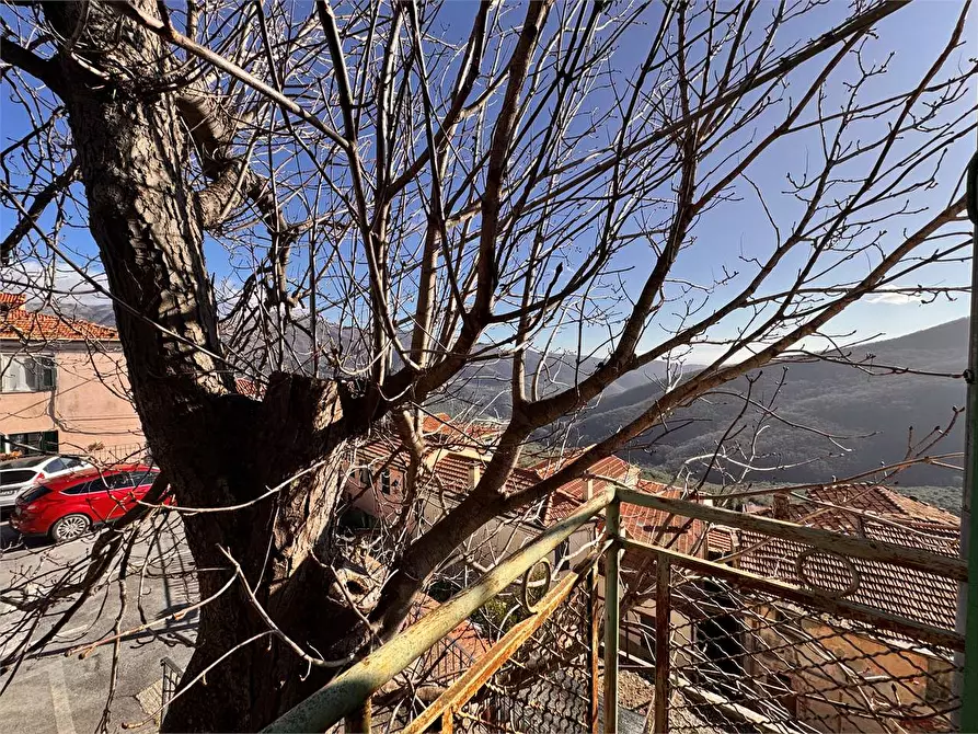 Immagine 34 di Appartamento in vendita  in Piazza Castello  1 a Lucinasco