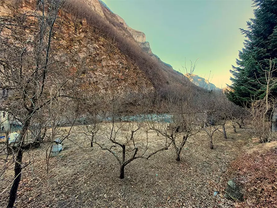 Immagine 112 di Rustico / casale in vendita  in Frazione Ponte di Nava Località Figalli a Ormea