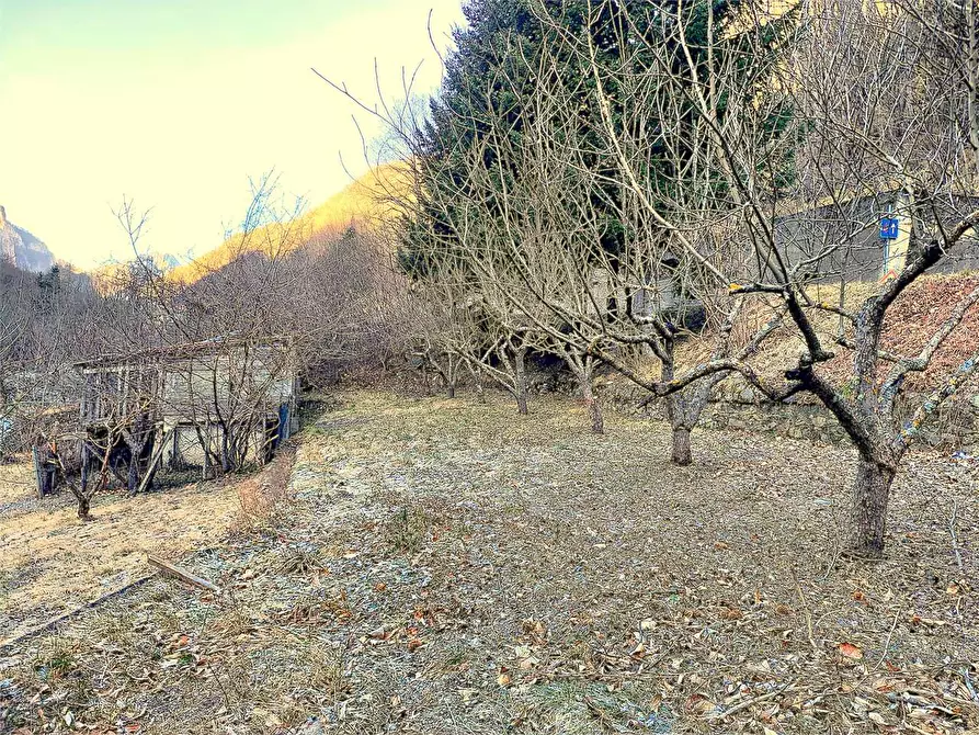 Immagine 113 di Rustico / casale in vendita  in Frazione Ponte di Nava Località Figalli a Ormea