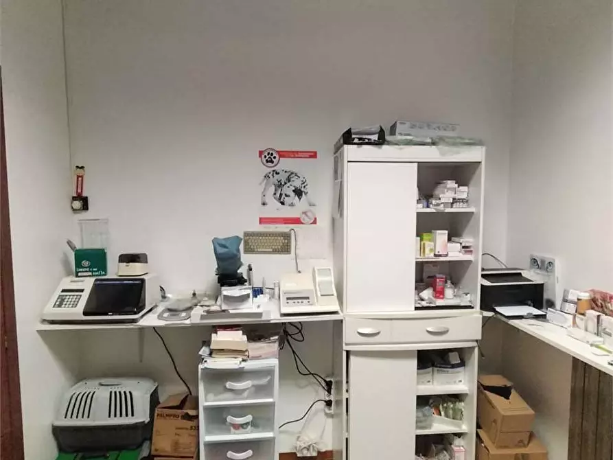 Immagine 5 di Negozio in vendita  in Via Valcasotto a Garessio