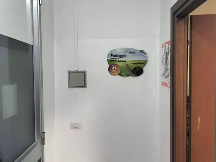 Immagine 3 di Negozio in vendita  in Via Valcasotto a Garessio