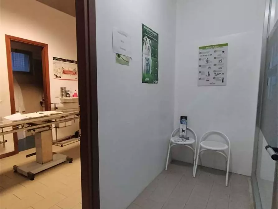 Immagine 4 di Negozio in vendita  in Via Valcasotto a Garessio