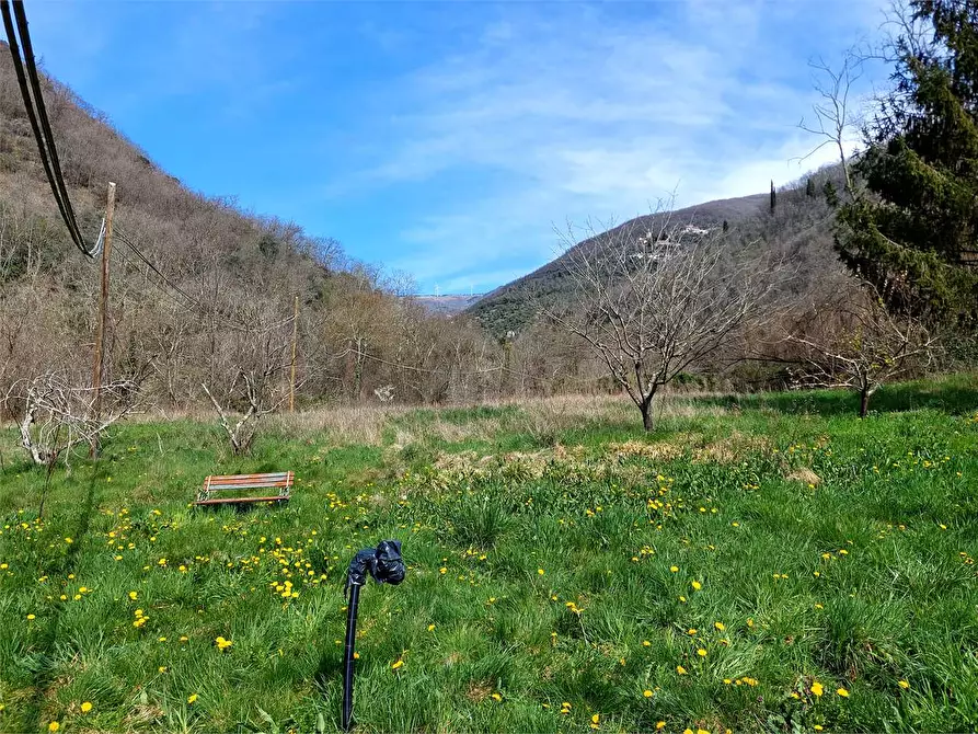 Immagine 5 di Terreno agricolo in vendita  in Strada Provinciale  6 a Pieve Di Teco