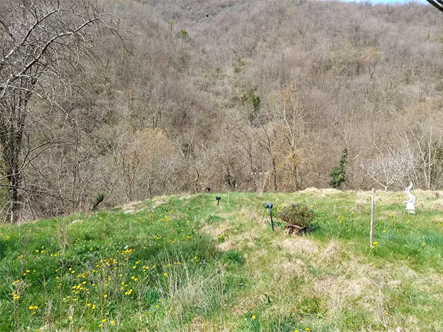 Immagine 6 di Terreno agricolo in vendita  in Strada Provinciale  6 a Pieve Di Teco