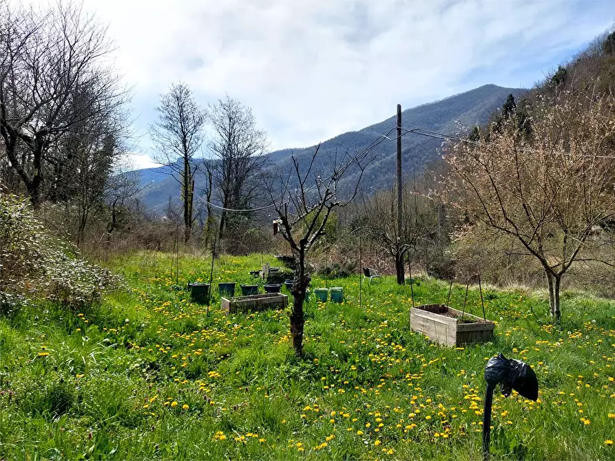 Immagine 7 di Terreno agricolo in vendita  in Strada Provinciale  6 a Pieve Di Teco
