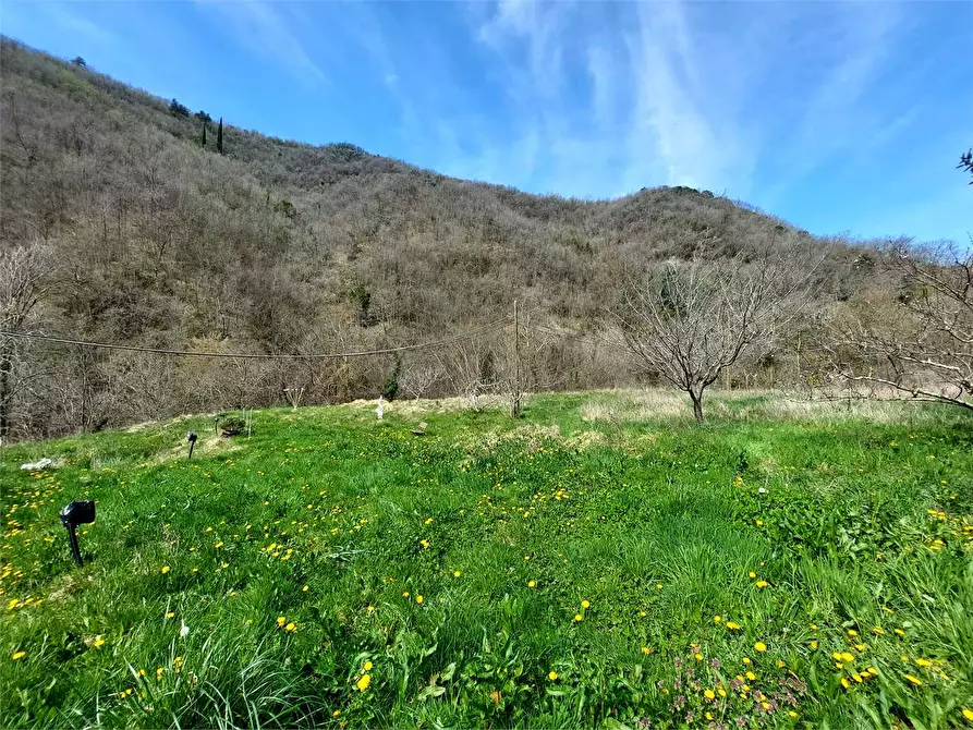 Immagine 8 di Terreno agricolo in vendita  in Strada Provinciale  6 a Pieve Di Teco