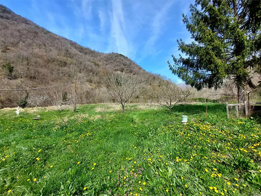 Immagine 9 di Terreno agricolo in vendita  in Strada Provinciale  6 a Pieve Di Teco