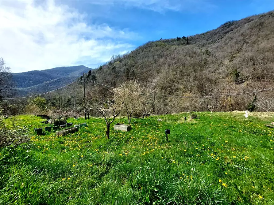 Immagine 10 di Terreno agricolo in vendita  in Strada Provinciale  6 a Pieve Di Teco