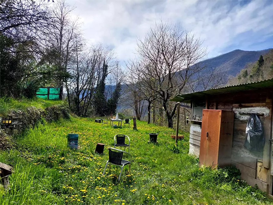 Immagine 3 di Terreno agricolo in vendita  in Strada Provinciale  6 a Pieve Di Teco