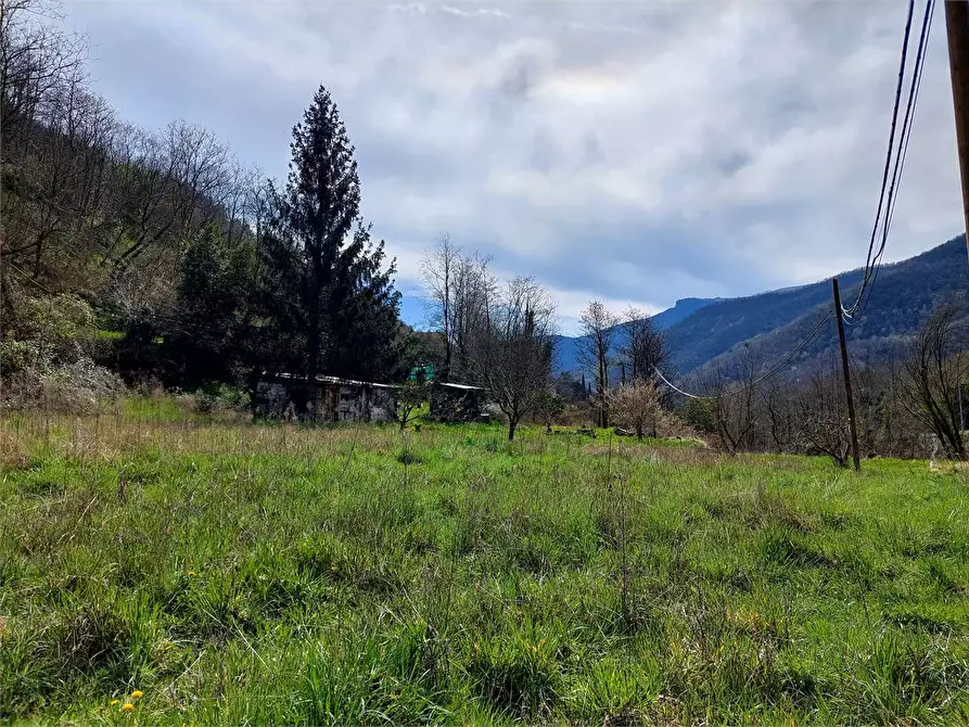Immagine 4 di Terreno agricolo in vendita  in Strada Provinciale  6 a Pieve Di Teco