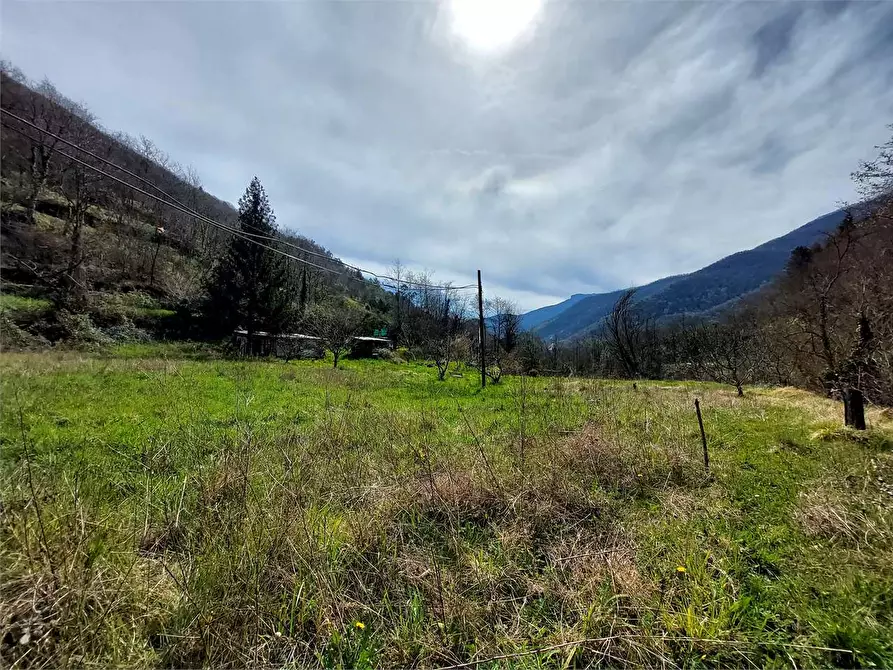 Immagine 11 di Terreno agricolo in vendita  in Strada Provinciale  6 a Pieve Di Teco