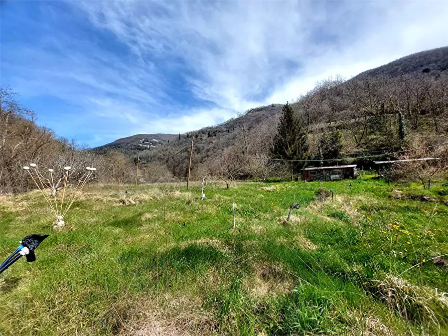 Immagine 12 di Terreno agricolo in vendita  in Strada Provinciale  6 a Pieve Di Teco