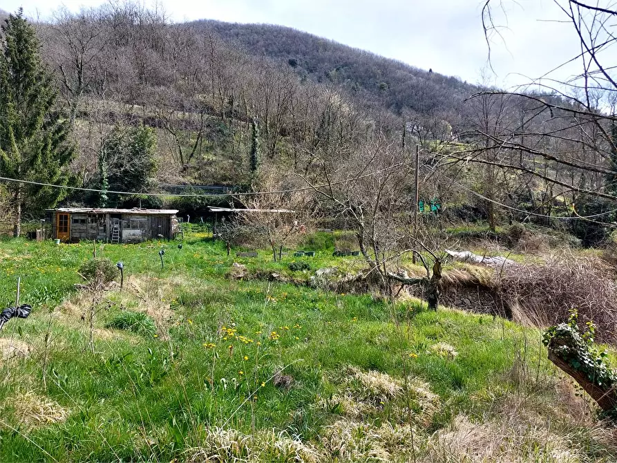 Immagine 13 di Terreno agricolo in vendita  in Strada Provinciale  6 a Pieve Di Teco