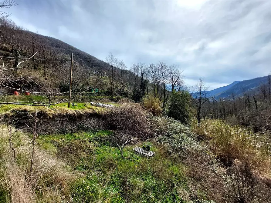 Immagine 14 di Terreno agricolo in vendita  in Strada Provinciale  6 a Pieve Di Teco