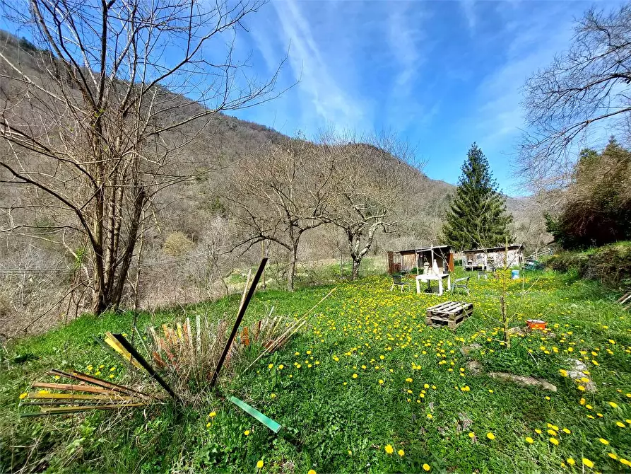 Immagine 1 di Terreno agricolo in vendita  in Strada Provinciale  6 a Pieve Di Teco