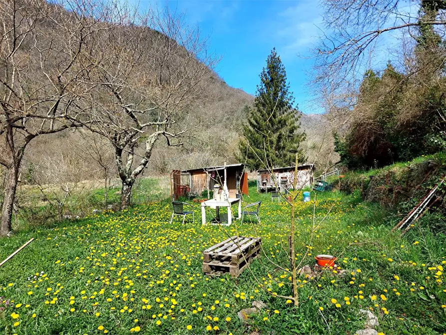 Immagine 2 di Terreno agricolo in vendita  in Strada Provinciale  6 a Pieve Di Teco