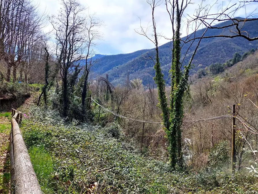 Immagine 15 di Terreno agricolo in vendita  in Strada Provinciale  6 a Pieve Di Teco