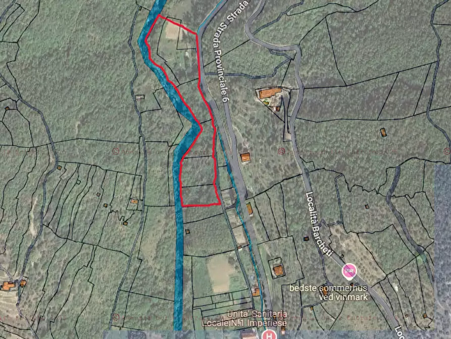 Immagine 16 di Terreno agricolo in vendita  in Strada Provinciale  6 a Pieve Di Teco